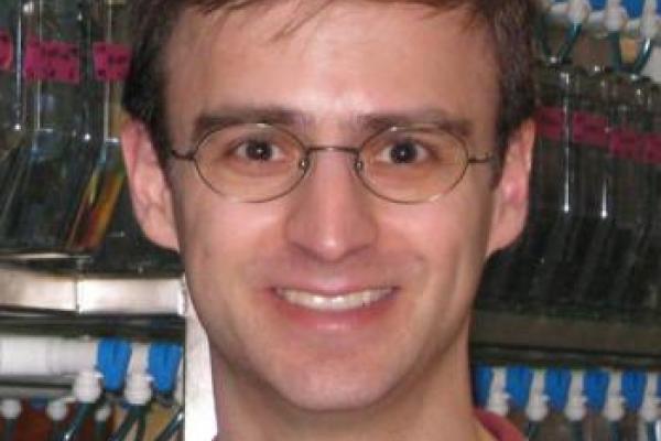 David Prober, PhD David Prober, PhD