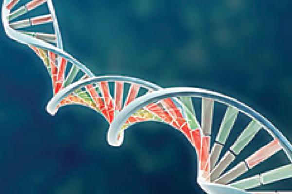 DNA