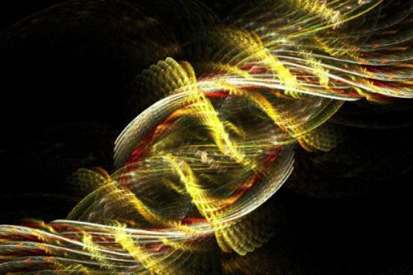 DNA Replication & Repair