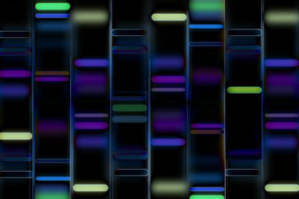 Gene Expression