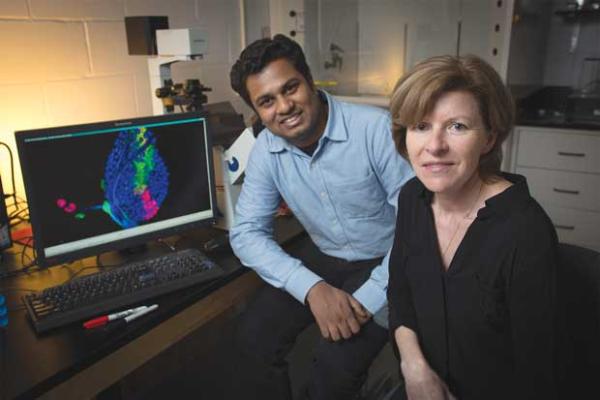 Amanda Simcox, right, has discovered the genetic events that allowed the fruit fly to develop wings. With her is Sathiya Manivannan, one of the co-authors of the study Amanda Simcox and Sathiya Manivannan