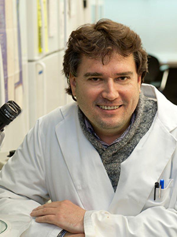 Dr. Patrice Hamel