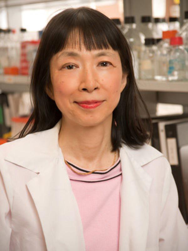 Photo of Yasuko Rikihisa