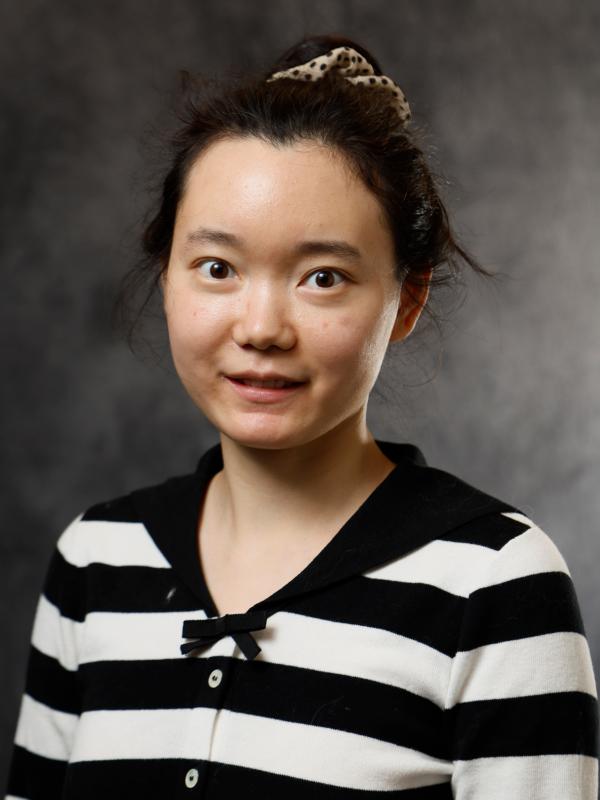 Wangtong Li