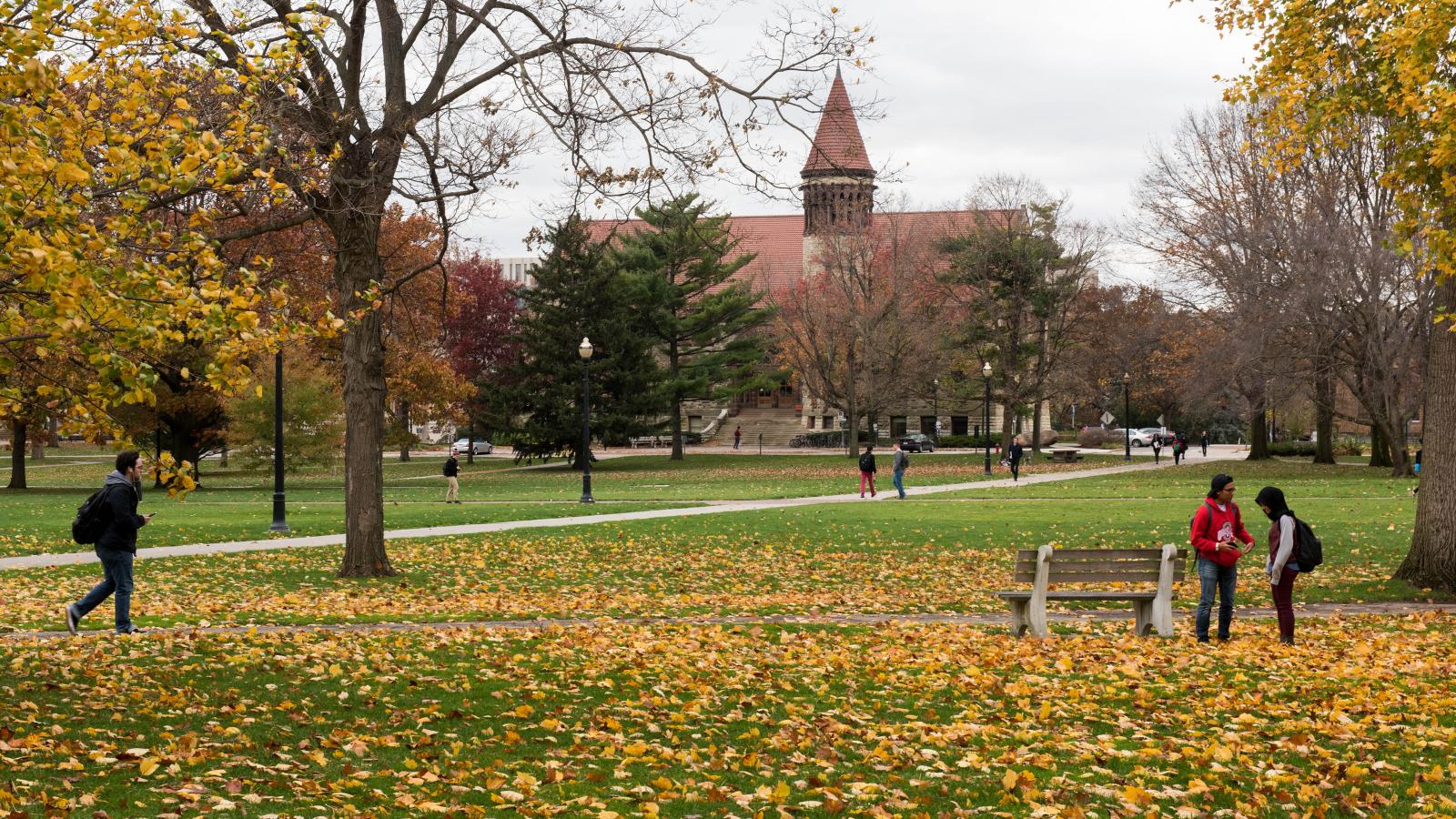 Fall colors on the Oval