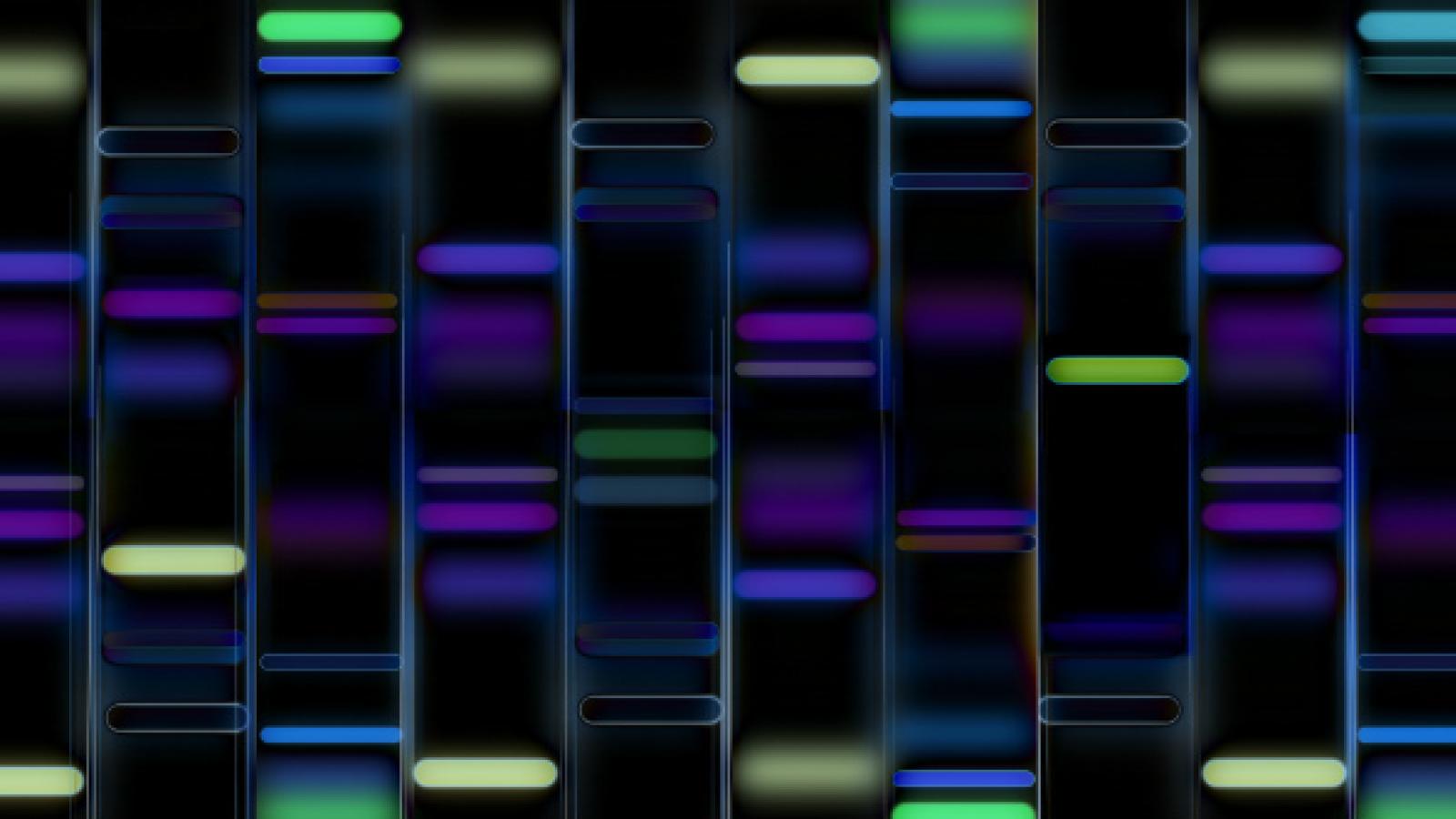 Gene Expression